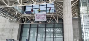 WhatsApp Image 2024-12-26 at 12.50.48-3